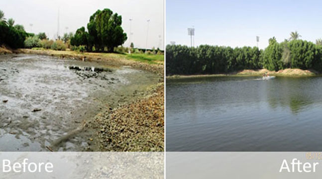 Lake-Restoration